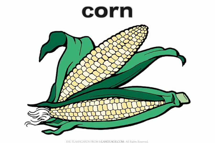 corn. 